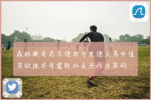 森林狼考虑兰德尔与里德交易价值若欲换字母需附加麦丹作为筹码